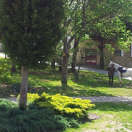 Alda Palas De Rei Εξωτερικό φωτογραφία