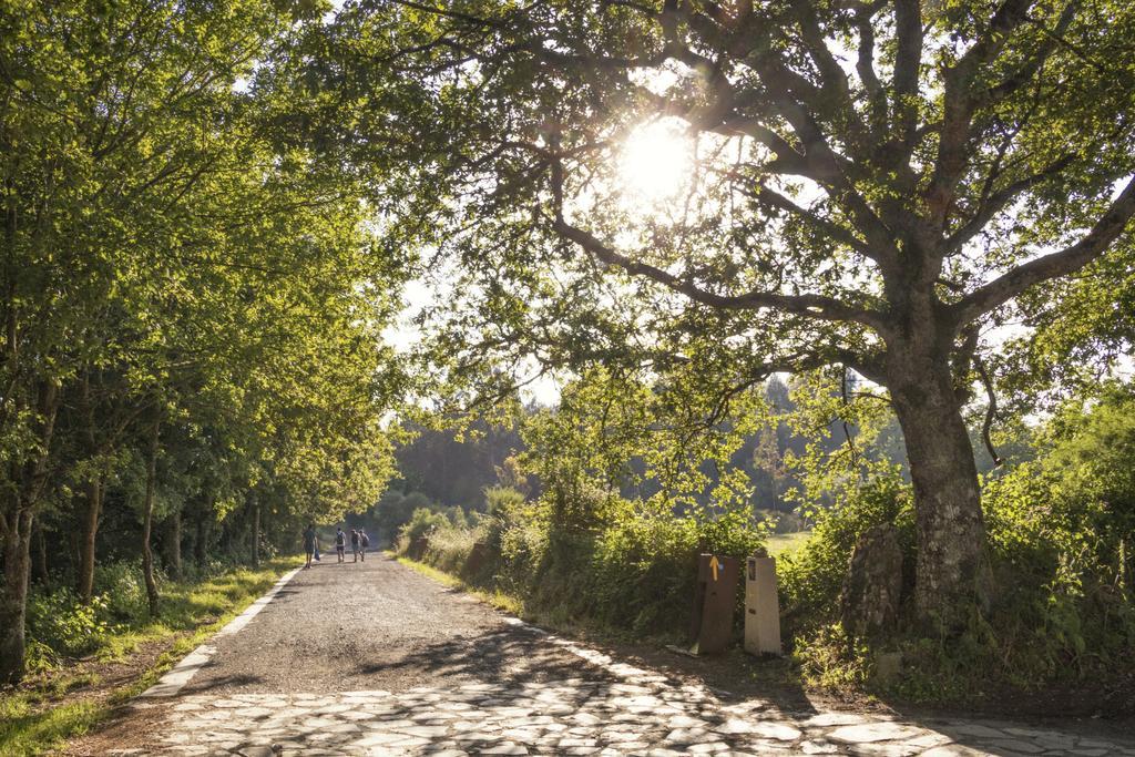 Alda Palas De Rei Εξωτερικό φωτογραφία